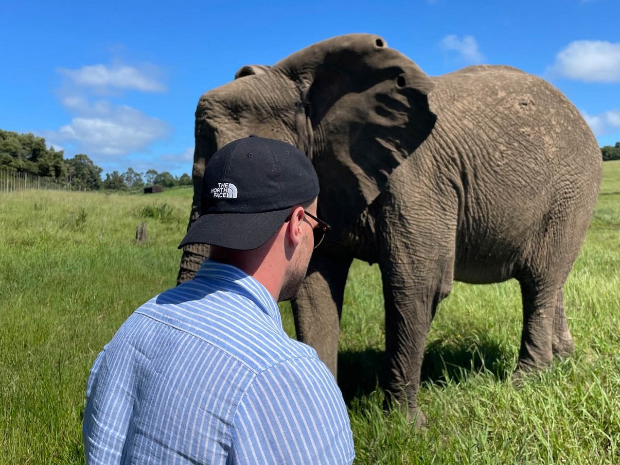 Sichtung eines Elefants bei einer Safari des dual Studierenden von Rieker.