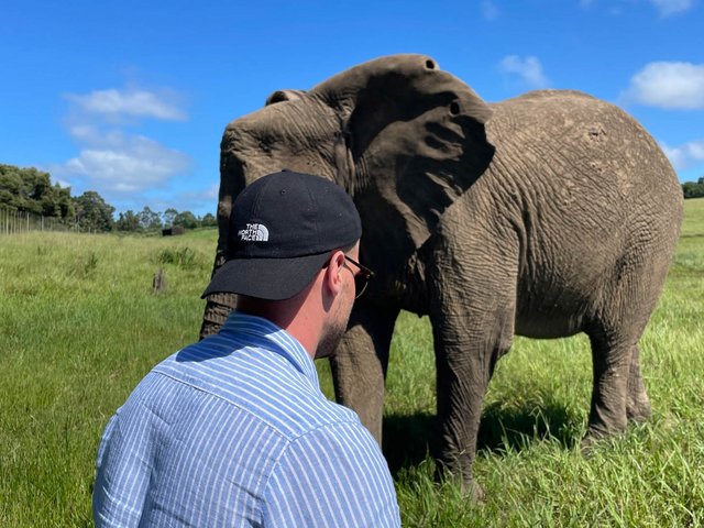 Christian sieht einen Elefanten bei einer Safari während seines Auslandssemesters in Südafrika.