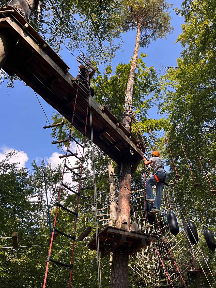 Rieker Azubis und Studierende klettern in einem Waldseilgarten.